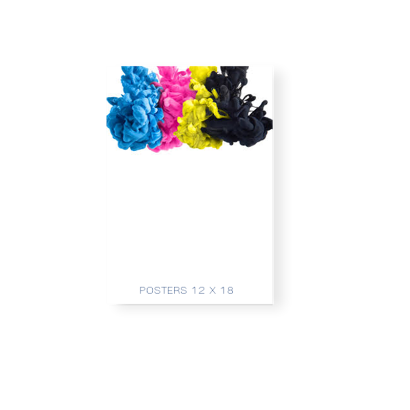 Poster 12x18 poster-12x18
